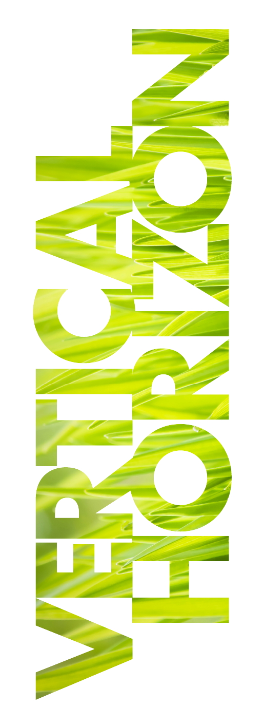 Vertical Horizon logo